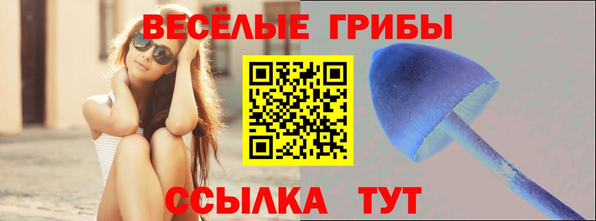 наркота  Галлюциногенные грибы Psilocybe  Вход с VPN  Знаменск 